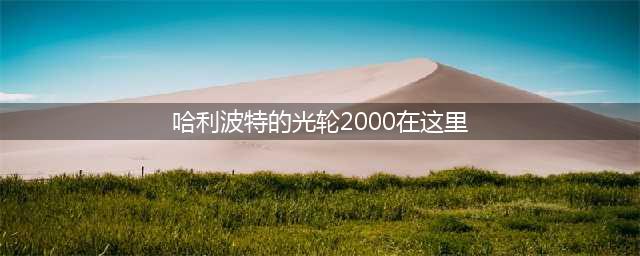 哈利波特的光轮2000在哪里结束了它的使命？哈利波特魔法觉醒拼图寻宝第八天位置图示