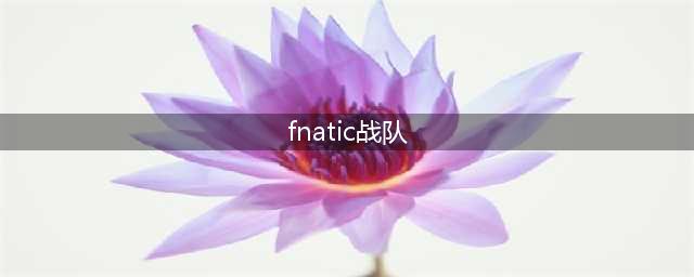 《LOL》S10全球总决赛FNC战队成员名单 FNC参赛人员表一览(fnatic战队)