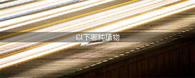 《闪耀暖暖》以下哪种植物只生长在奇迹大陆 晋升资格考核问题答案