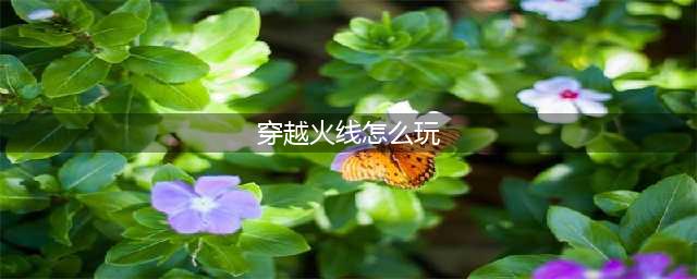 《CF穿越火线》新手怎么玩 CF新手玩法技巧及注意事项详细介绍(穿越火线怎么玩)