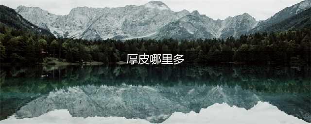 怀旧服 厚皮哪里最多(厚皮哪里多)