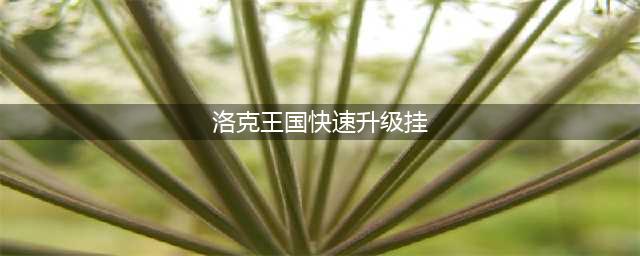 洛克王国辅助刷级100级 洛克王国刷级辅助大全(洛克王国快速升级挂)