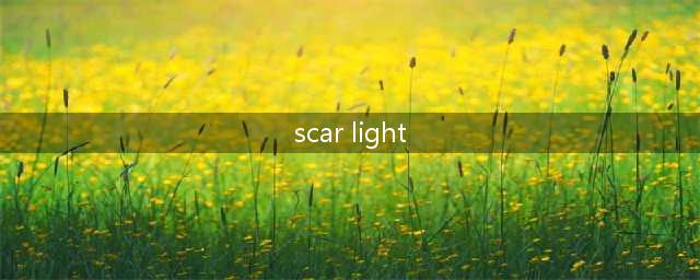 《CFHD》SCAR LIGHT这把枪怎么样 SCAR LIGHT介绍(scar light)