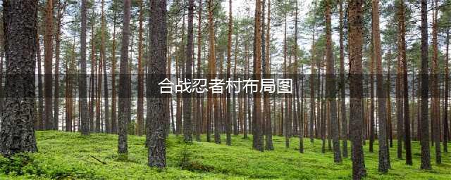 《合战忍者村物语》攻略布局一览 新手布局技巧整理(合战忍者村布局图)