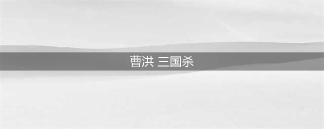 三国杀曹洪技能使用方法(曹洪 三国杀)