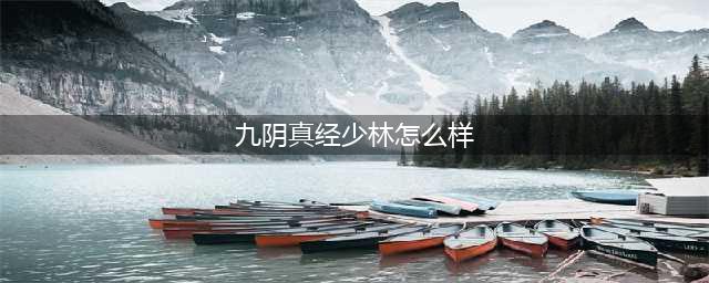 九阴真经少林镇派武技怎么样 九阴真经少林镇派武技介绍(九阴真经少林怎么样)
