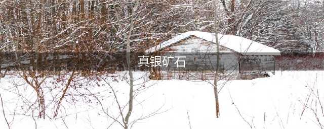 魔兽世界怀旧服真银矿石位置分享