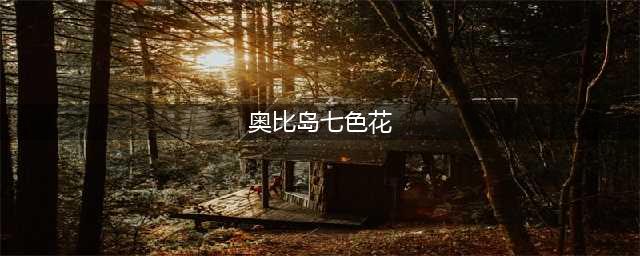 《奥比岛》手游哪里可以找到七色花 七色花位置一览(奥比岛七色花)