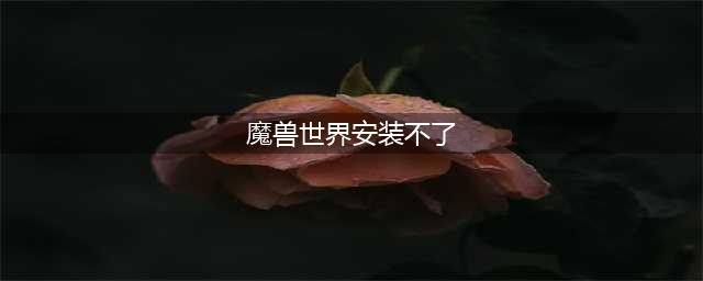 《魔兽世界怀旧服》安装出错怎么解决 安装出错解决攻略(魔兽世界安装不了)