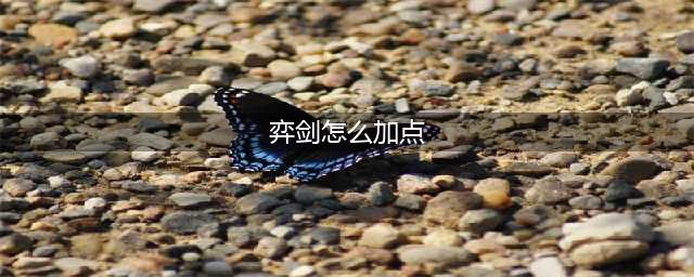 《长安幻想》奕剑加点攻略