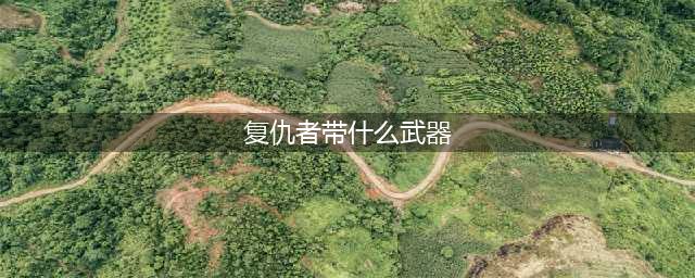 dnf复仇者用什么武器 dnf复仇者用什么武器好