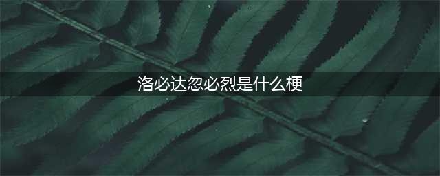 洛必达就完了是什么梗(洛必达忽必烈是什么梗)