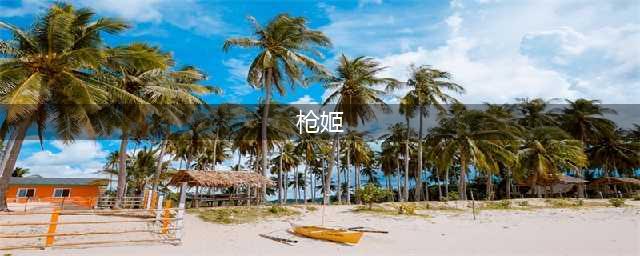 《少女前线》枪姬联动角色有哪些 枪姬联动角色汇总爆料(枪姬)