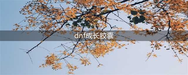 《dnf》满级在左下角下面那个成长胶囊用来干嘛(dnf成长胶囊)