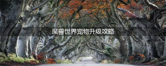 《魔兽世界怀旧服》宠物等级如何提升 宠物等级提升攻略(魔兽世界宠物升级攻略)