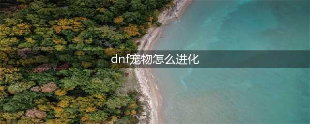 《DNF》新春宠物进化书怎么用 新春宠物进化书使用教学攻略(dnf宠物怎么进化)