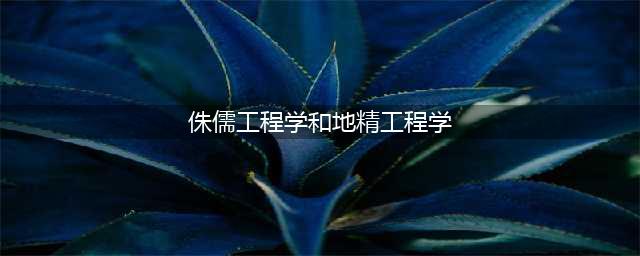 《魔兽世界怀旧服》地精工程学和侏儒工程学攻略 两者区别分享(侏儒工程学和地精工程学)