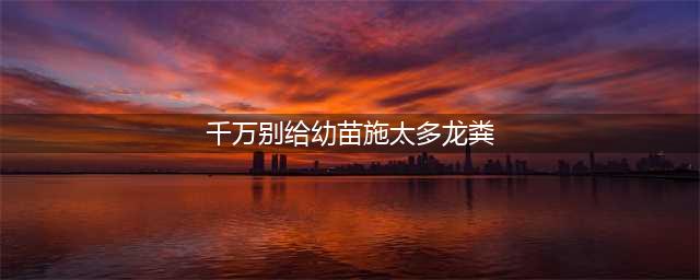 哈利波特魔法觉醒拼图9.22图文教程:千万别给幼苗施太多的龙粪拼图位置