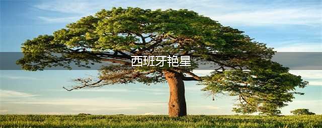 我熟悉的西班牙十大美艳女星，你都知道她们的作品吗(西班牙艳星)