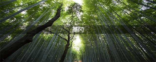 火炬之光无限基冈怎么过 基冈通关方法详解