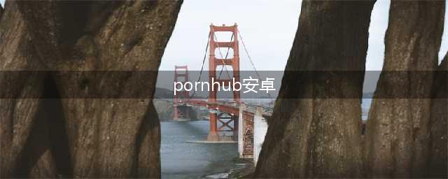 2019 年 Android 非官方发行数字透露(pornhub安卓)