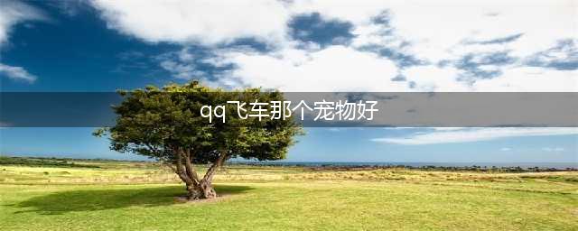 《QQ飞车手游》哪个宠物好 热门宠物排行榜(qq飞车那个宠物好)