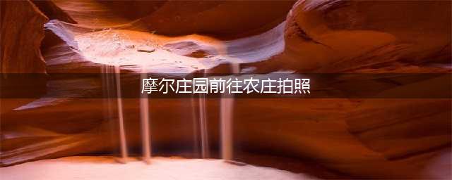 《摩尔庄园》前往农庄拍照任务制作方法教程 前往农庄拍照是什么意思