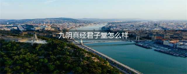 《九阴真经》君子堂镇派武技介绍