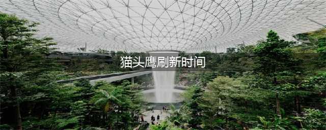 《魔兽世界》7.1冬季专属宠物 冬泉谷白色猫头鹰开始刷新(猫头鹰刷新时间)