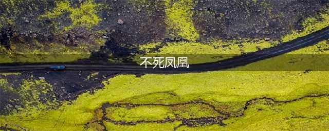王者荣耀不死凤凰获得条件一览(不死凤凰)