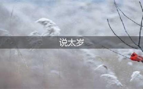 《霹雳江湖》说太岁好用吗 说太岁技能属性介绍(说太岁)