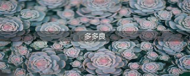 《仁王2》多多良怎么打 多多良打法分享(多多良)