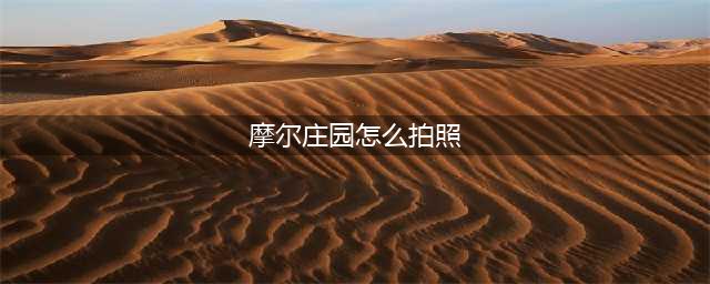 摩尔庄园怎么拍照