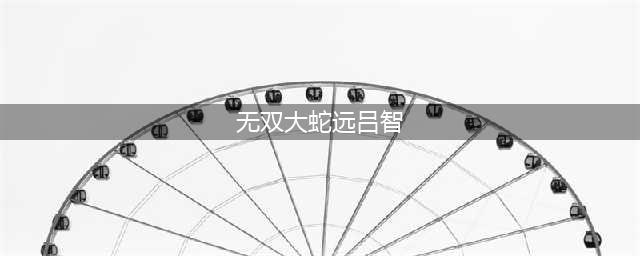 《无双大蛇3》远吕智怎么用 远吕智玩法使用心得分享(无双大蛇远吕智)