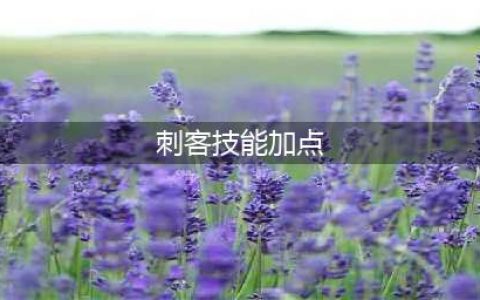 《DNF》刺客怎么加点 刺客加点分享(刺客技能加点)