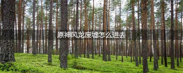 原神风龙废墟怎么进 风龙废墟进入方法介绍(原神风龙废墟怎么进去)