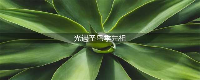 《光遇》圣岛季先祖兑换表介绍