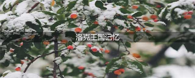 洛克王国记忆瓶获得方法攻略(洛克王国记忆)