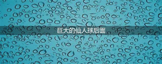 《航海王热血航线》巨大仙人球位置一览 巨大仙人球位置在哪(巨大的仙人球后面)