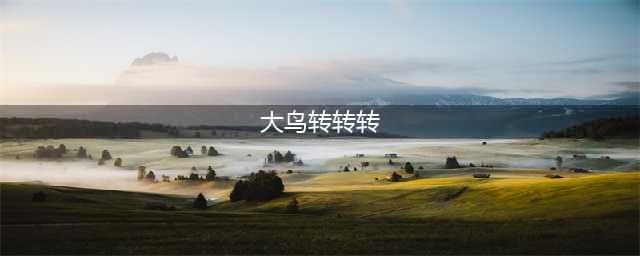 《赛博朋克2077》大鸟转转转在哪 大鸟转转转位置一览(大鸟转转转)