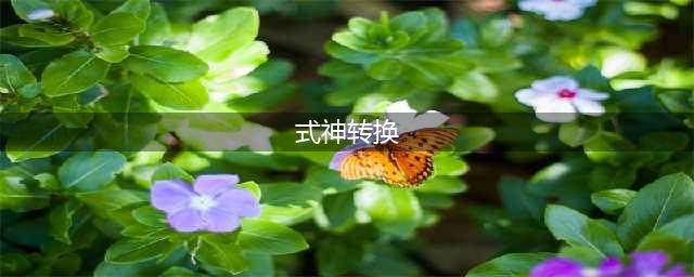 《阴阳师》式神转换在哪 式神转换位置分享(式神转换)