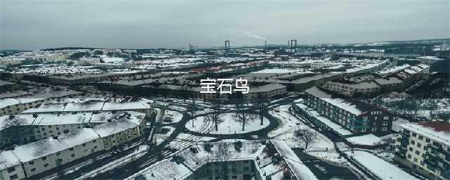 《星露谷物语》1.5宝石鸟谜语怎么破解 宝石鸟谜语解密方法(宝石鸟)