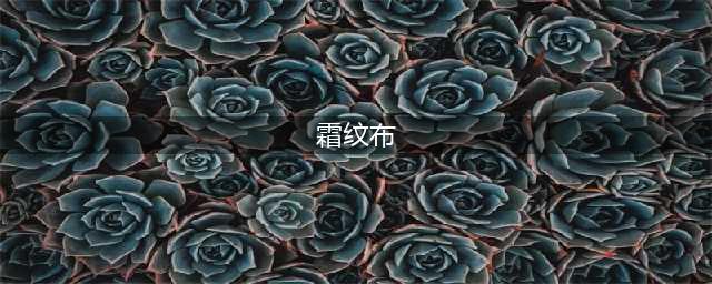 魔兽世界霜纹布怎么刷最快 80wlk怀旧服霜纹布速刷攻略(霜纹布)