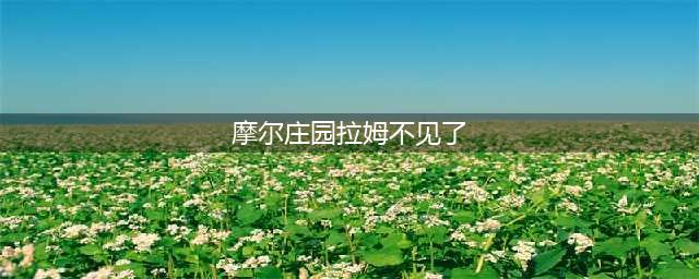 摩尔庄园里面的拉姆离家出走了：该怎么办呢？
