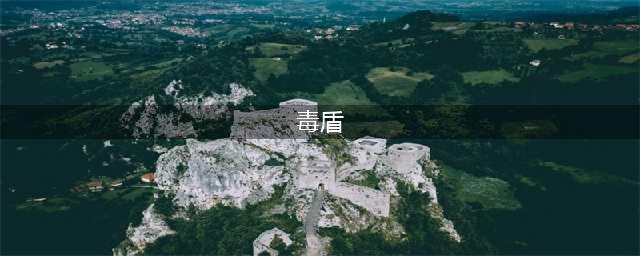 《魔渊之刃》毒盾玩法心得及建议 毒盾实战攻略(毒盾)