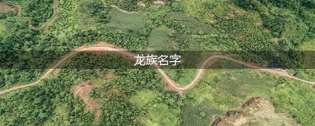 《龙族幻想》起什么名字吸引人 名字昵称大全(龙族名字)
