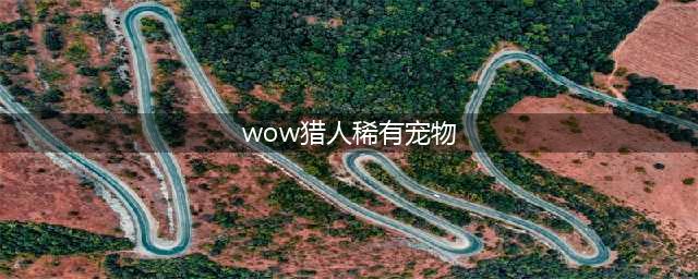 《魔兽世界》猎人稀有宠物数量详解 魔兽世界猎人稀有宠物大全一览(wow猎人稀有宠物)