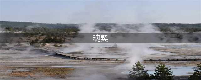 《魔兽世界》魂契效果有哪些 全魂契效果汇总一览(魂契)