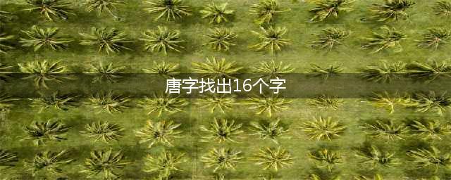 汉字找茬王唐找出16个字