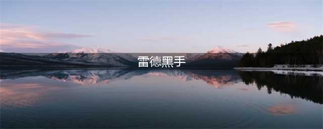 《佣兵战纪》雷德黑手图文教程 雷德黑手打法技巧攻略(雷德黑手)